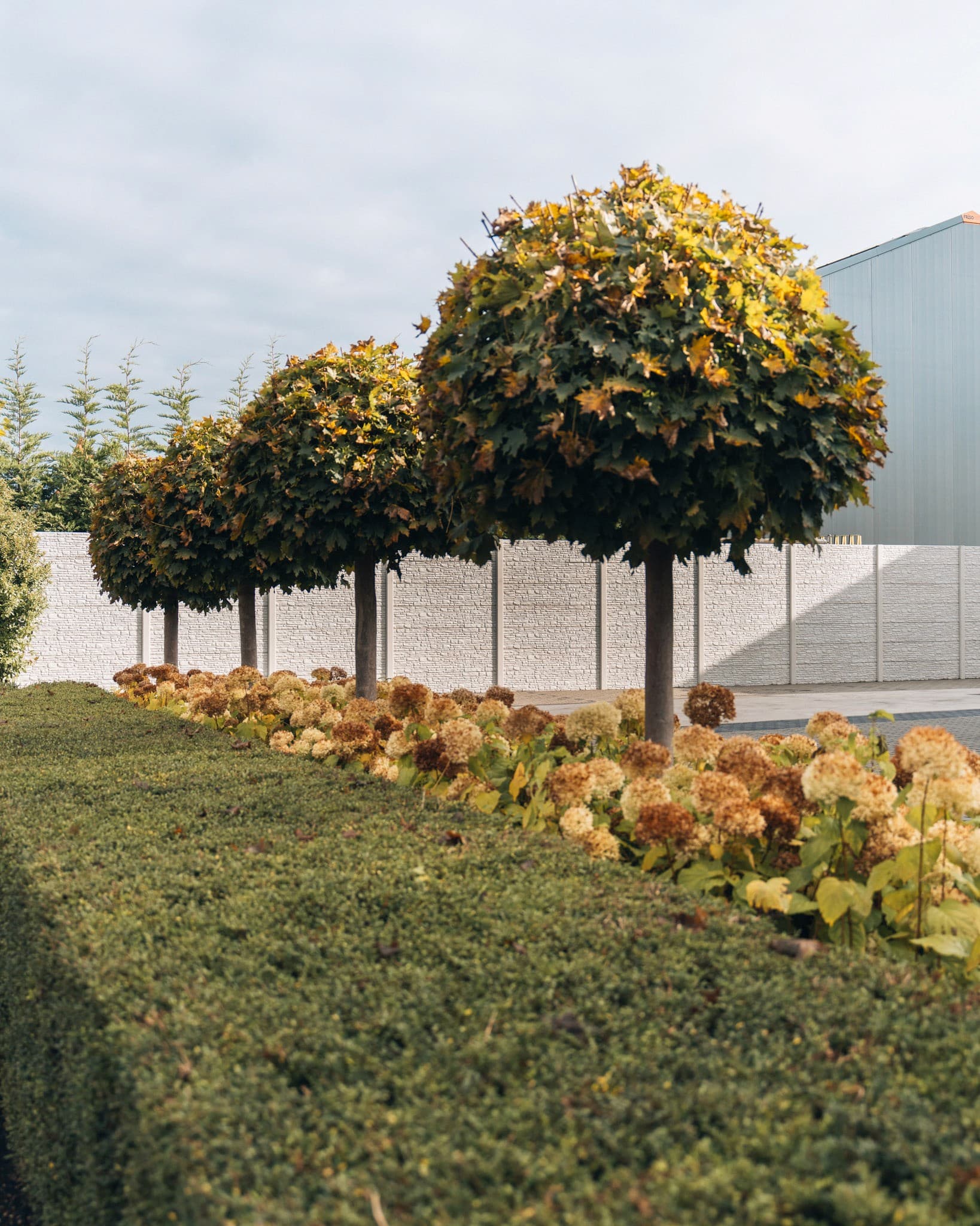 bomenrij met herfstbloemen — graffo fotografie
